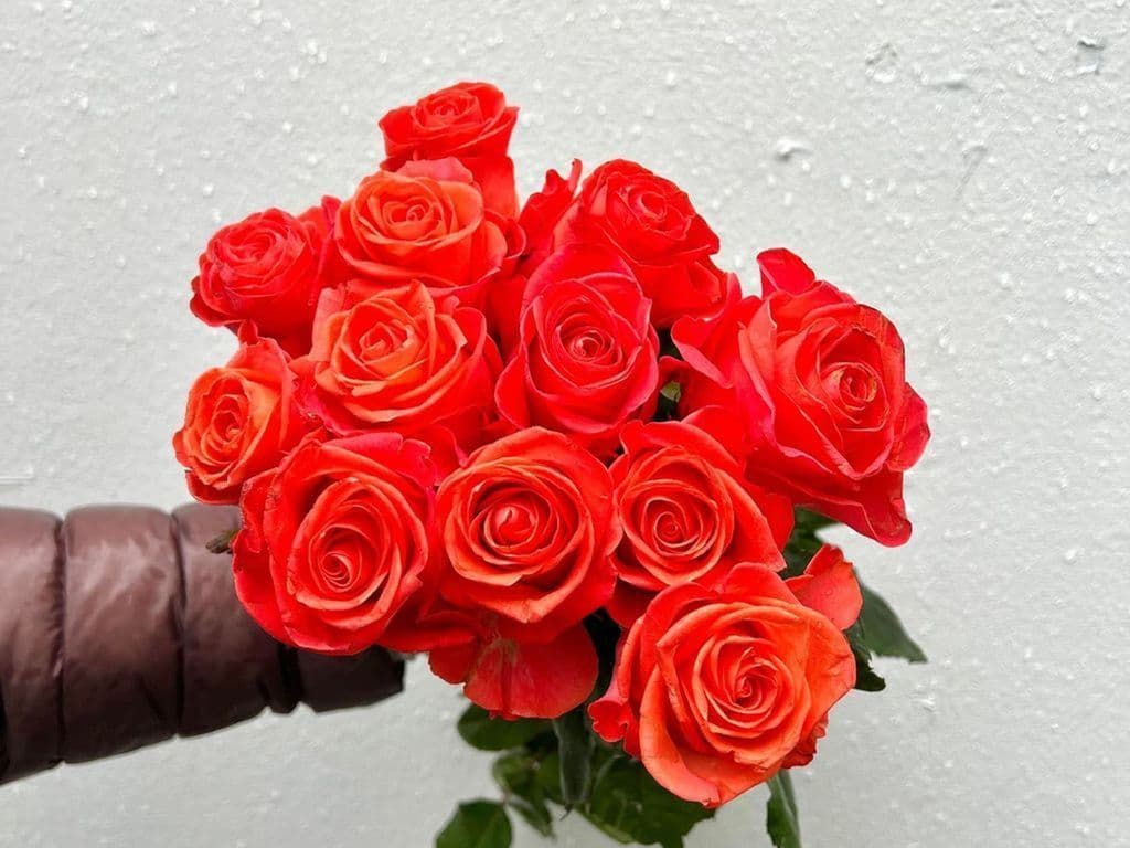 Flowers - Local Rose Orange bouquet (12 stems)