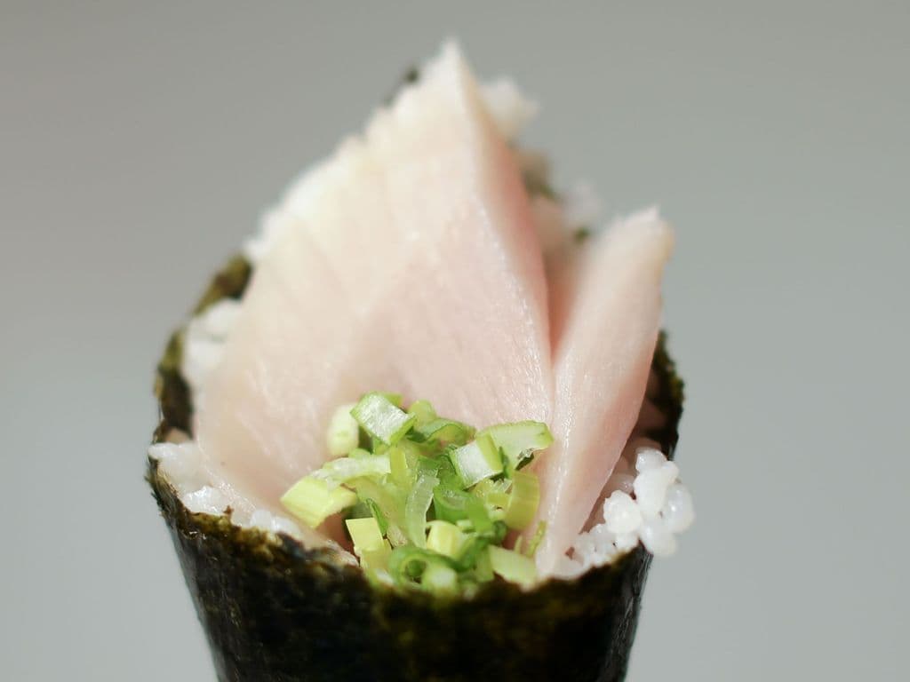 Negi Toro cone
