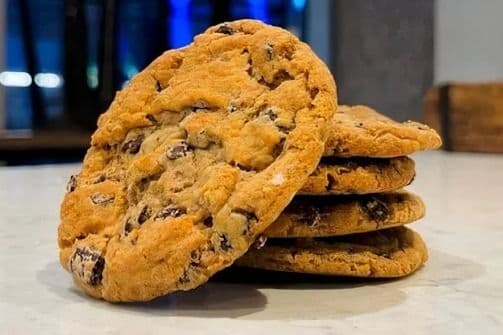 Dark Chocolate Chip Chaga Cookie (Vegan & Gluten Free)