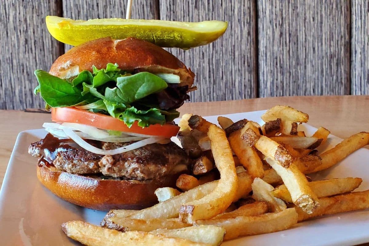 MSW Bison Burger