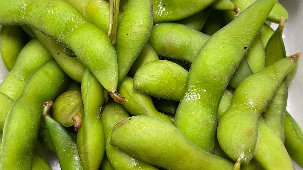 14B. Edamame