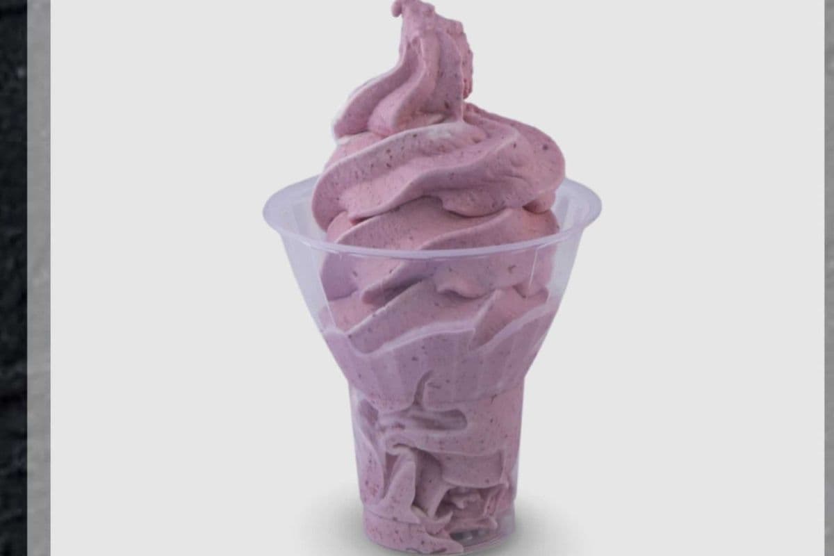 Yogourt, tofu ou ultra santé glacé grand