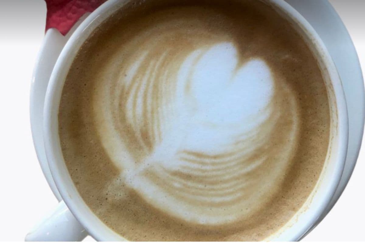 Lodge Latte