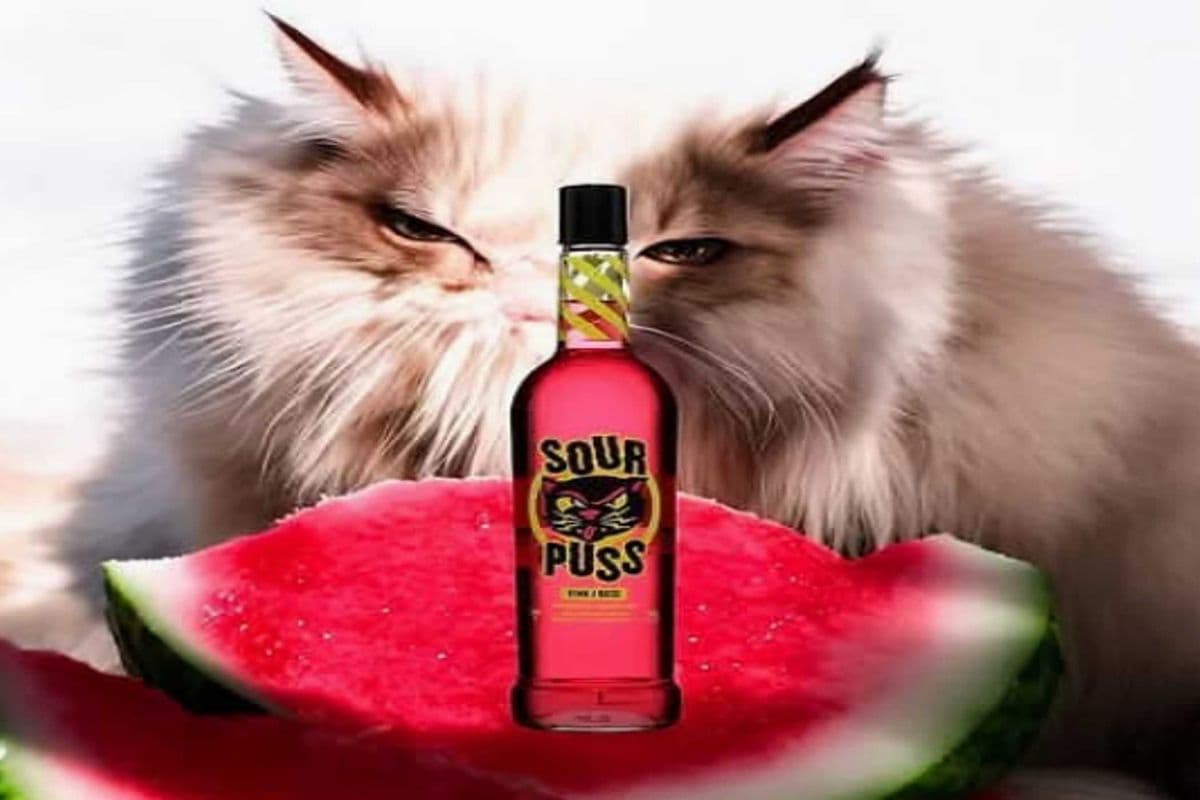 SOUR PUSS - WATERMELON (1 x 750ML)