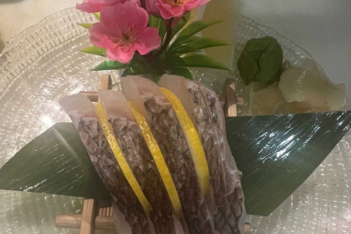 Madai Sashimi