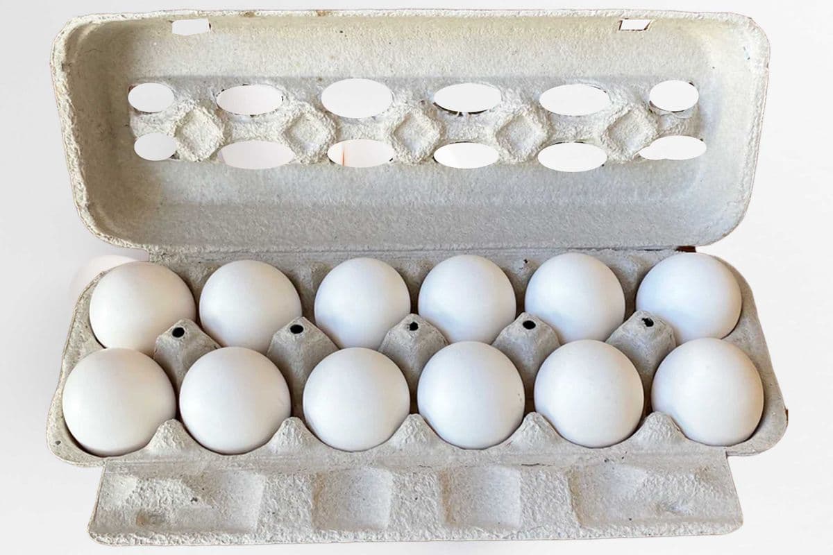 WHITE LARGE EGGS