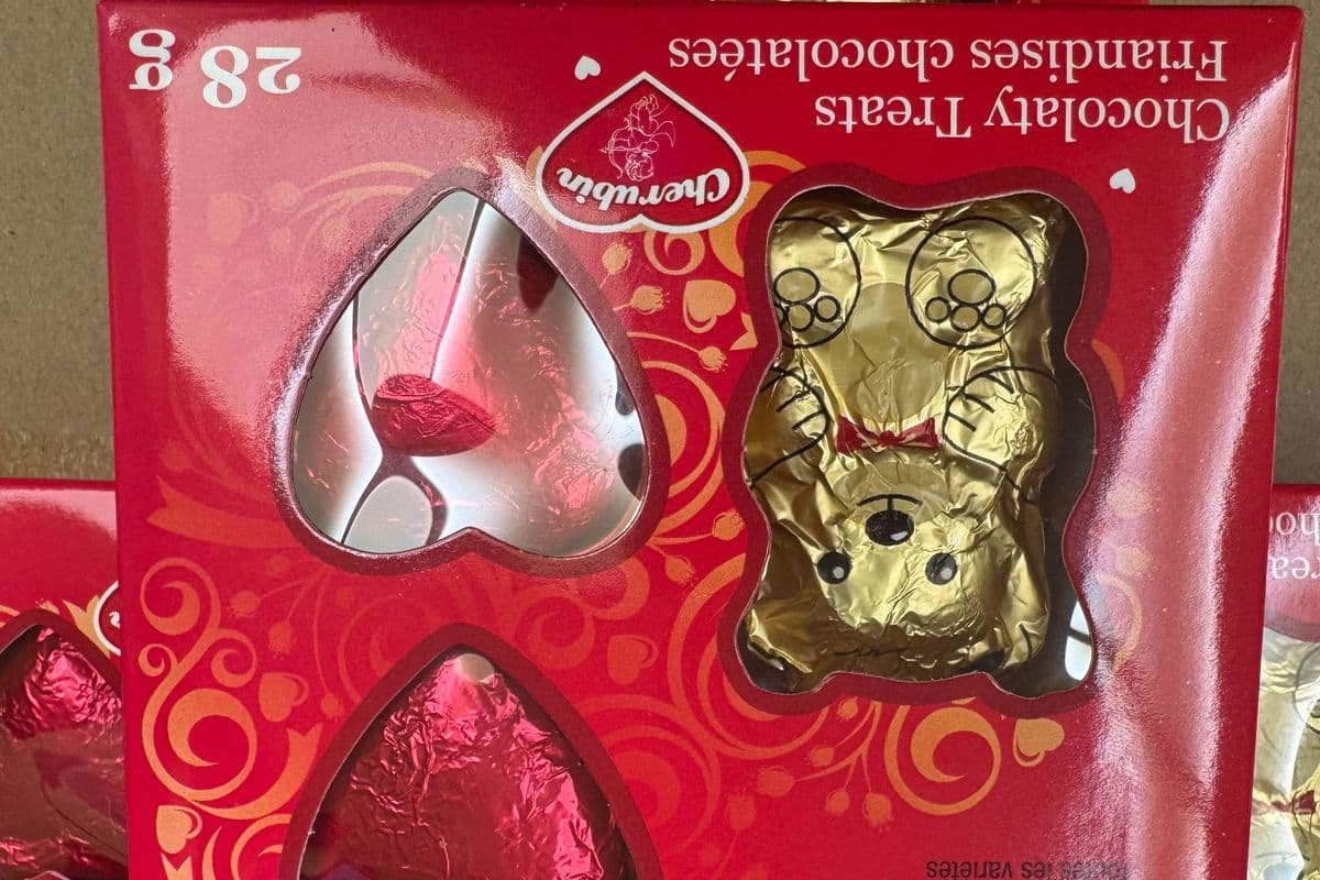 Chocolate With Teddy Chocolate 28g