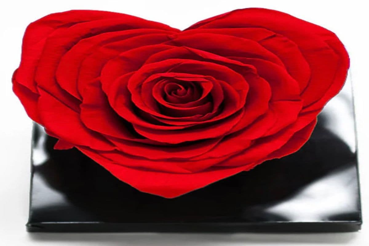 Heart Shape Preserved Rose