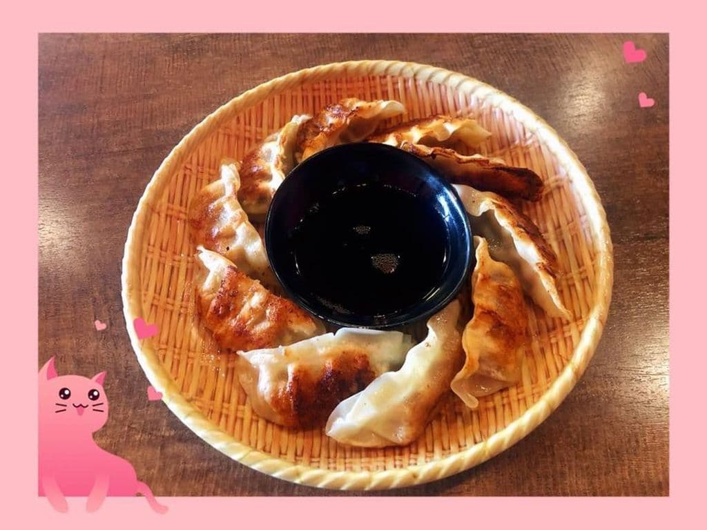 Pot Sticker 鸡肉煎饺