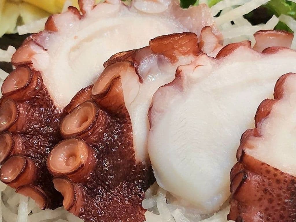 Tako(Octopus) Sashimi