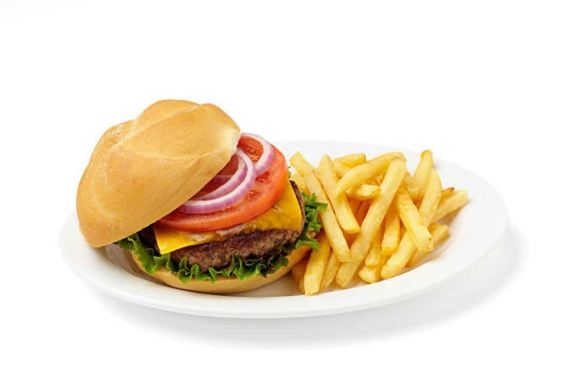 Non- Veg Burger + Fries