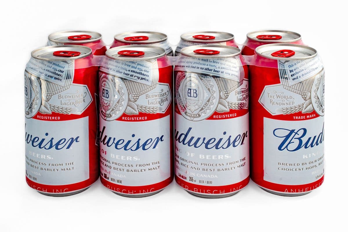 Budweiser (8 Cans) (8 x 355ML)