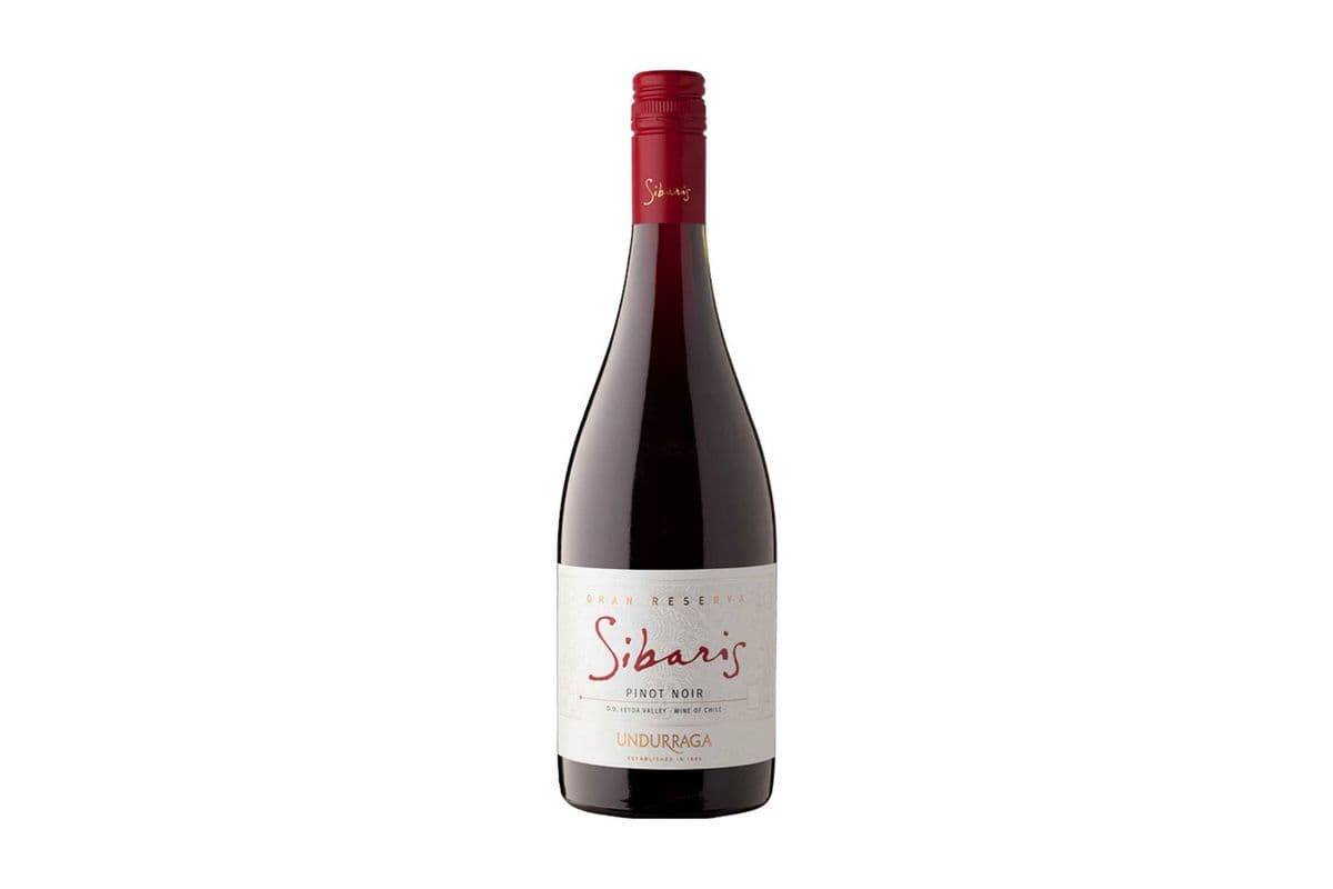 Undurraga Sibaris Pinot Noir Reserva (Chile) (1 x 750ml)