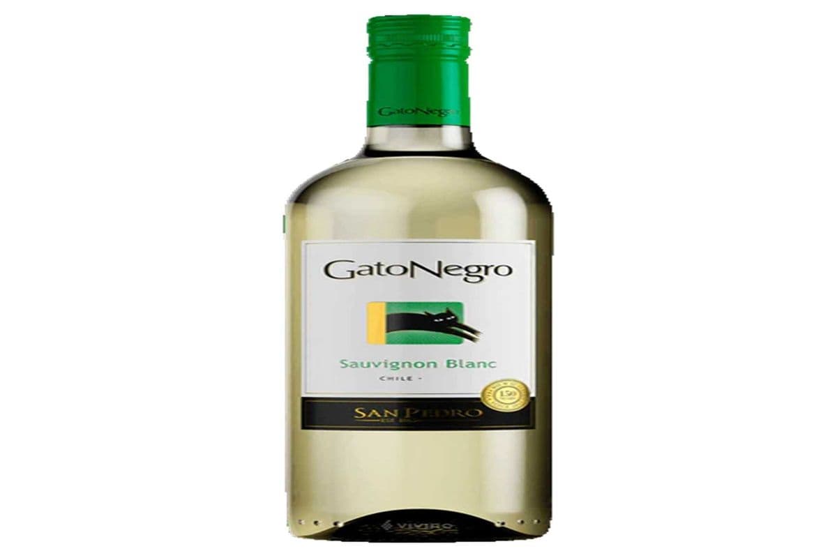 Gato Negro Sauvignon Blanc (1 x 750 ml)