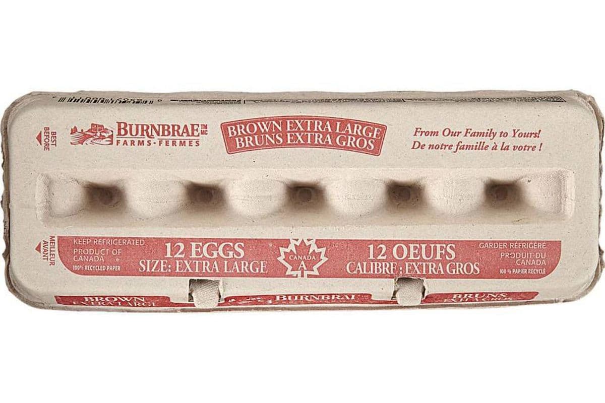 12 oeufs / 12 eggs