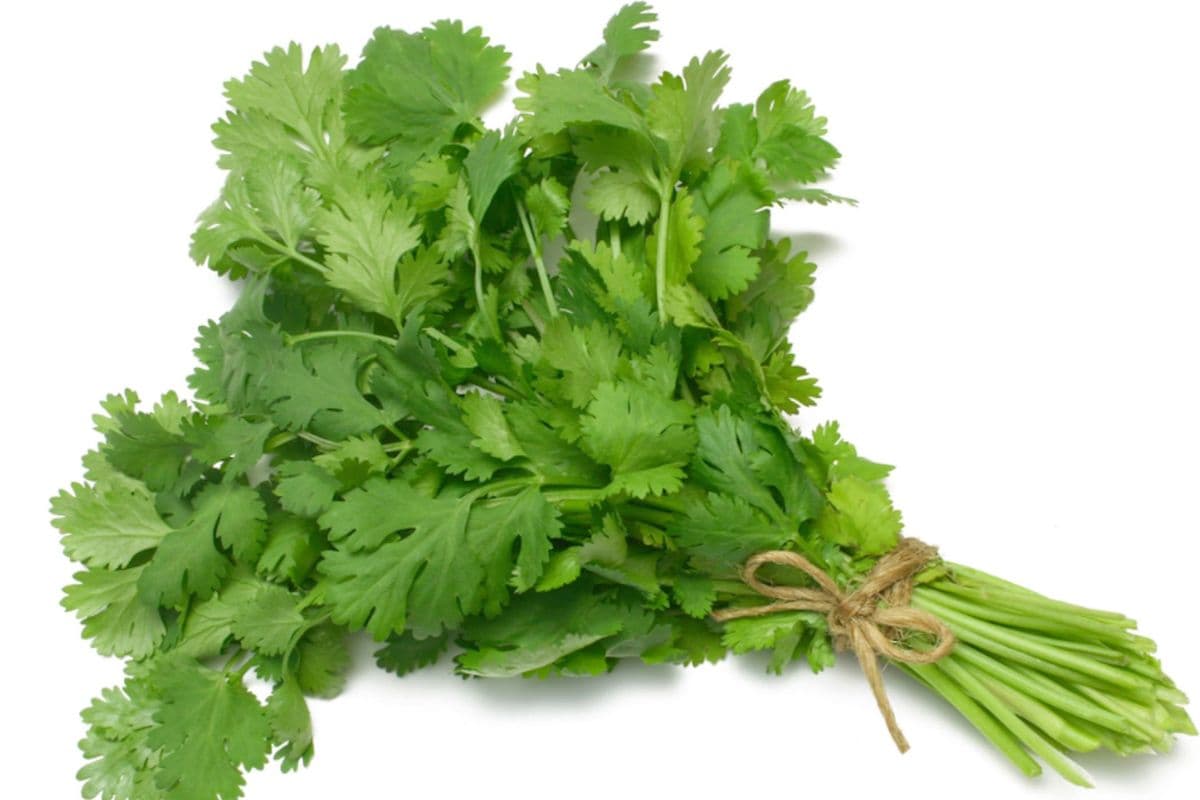 Parsley