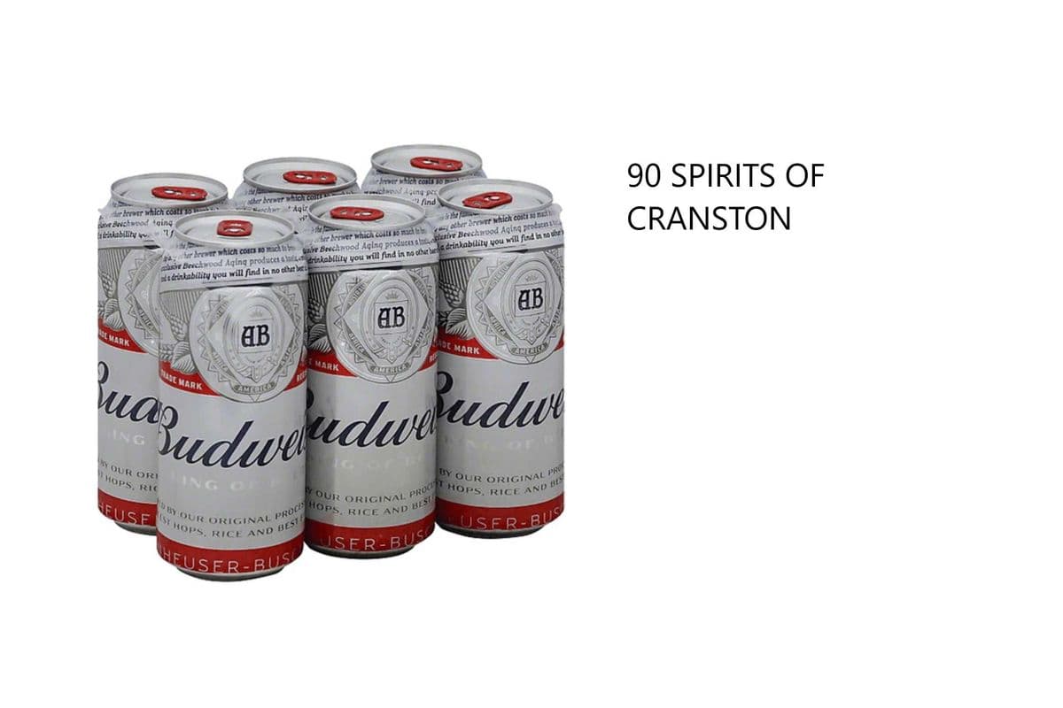BUDWEISER 6 CANS (1 x 6X355ML)