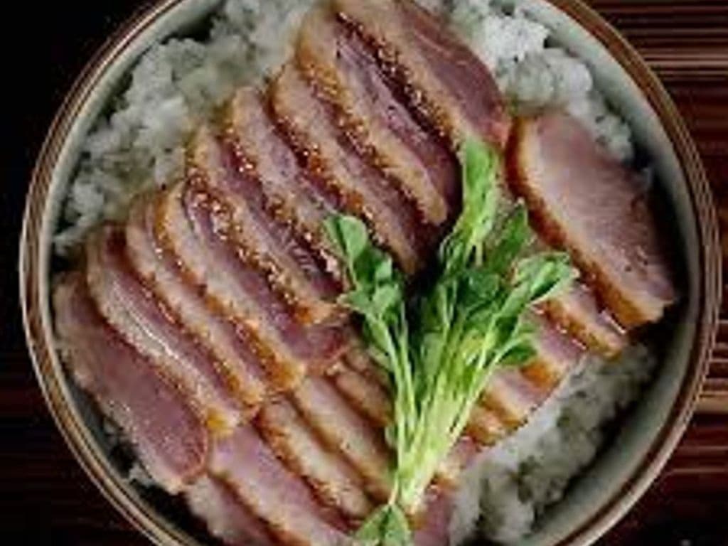 Homemade Duck Breast Rice 10. 秘製鴨胸飯 -o-