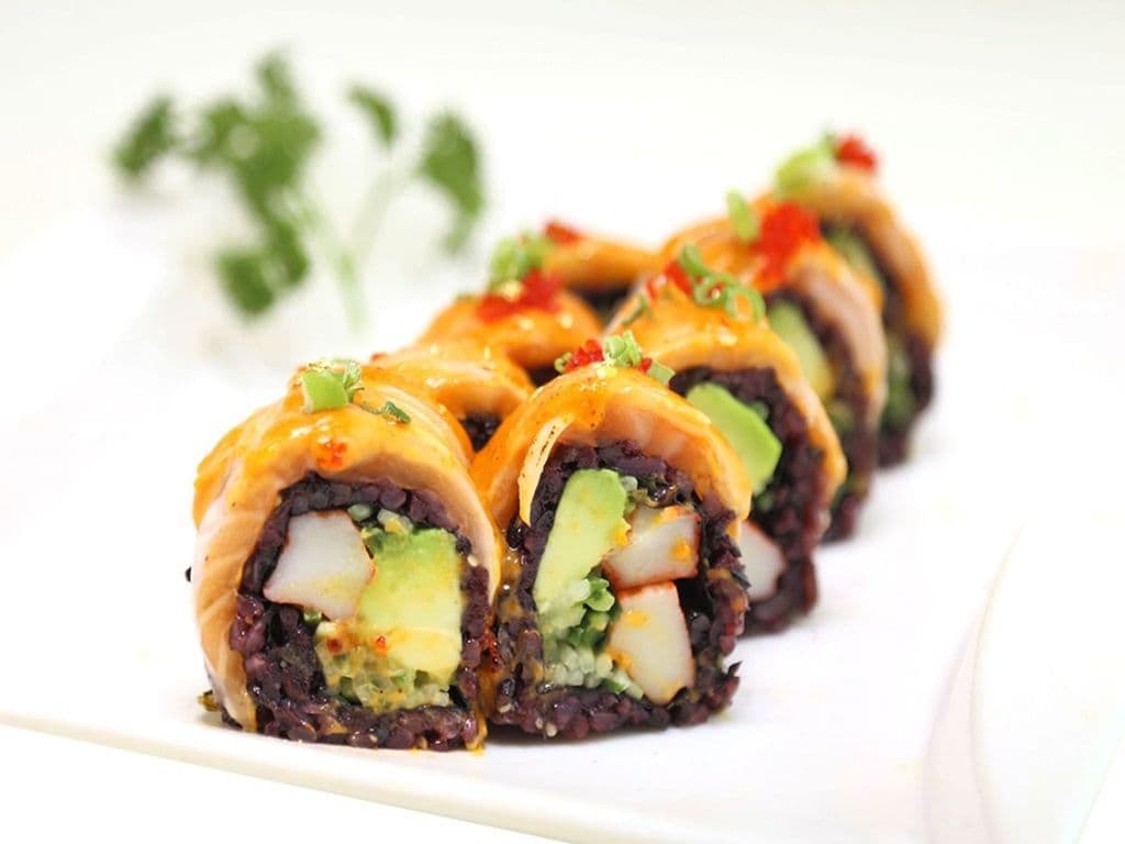 69B brown rice touch salmon ro