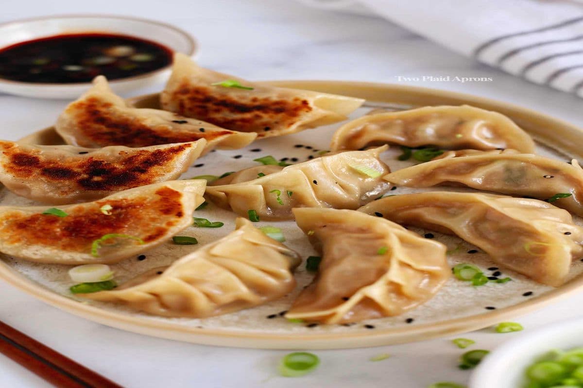 10. Grilled Pork Homemade Dumplings (10)