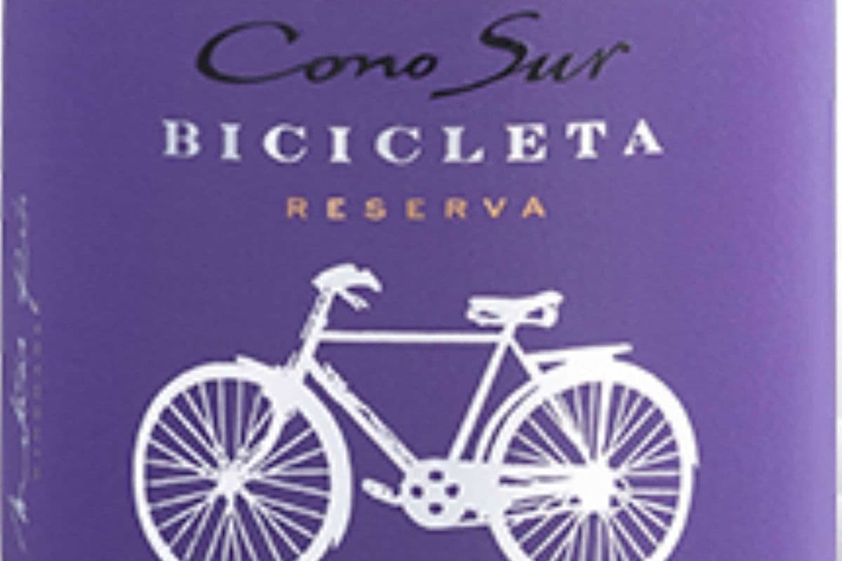 Cono Sur Pinot Noir (1 x 750ml)