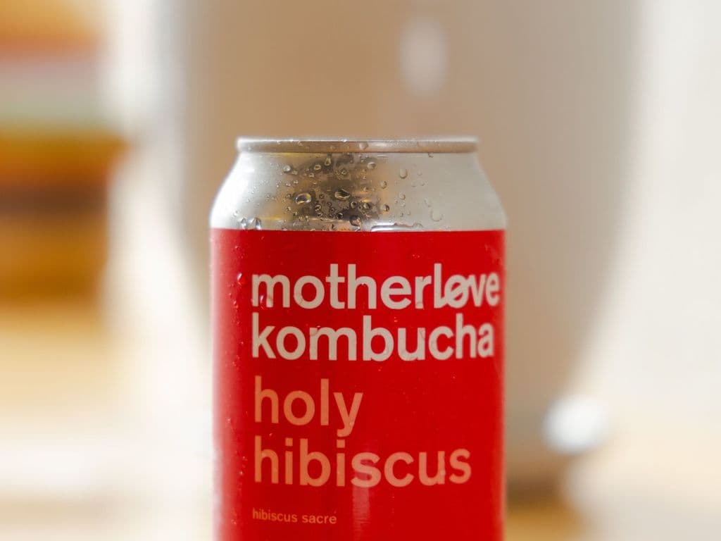 Holy Hibiscus