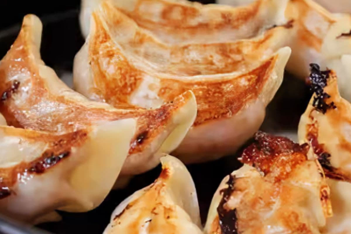 Crispy Vegetable Gyoza