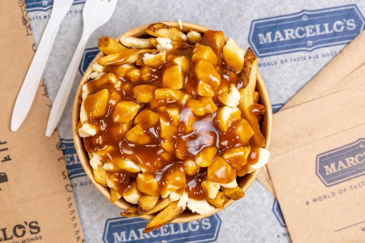 Large Hot Dog Poutine