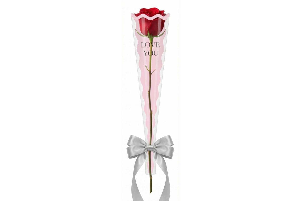 Single Stem Rose (Single Rose, Random Color)