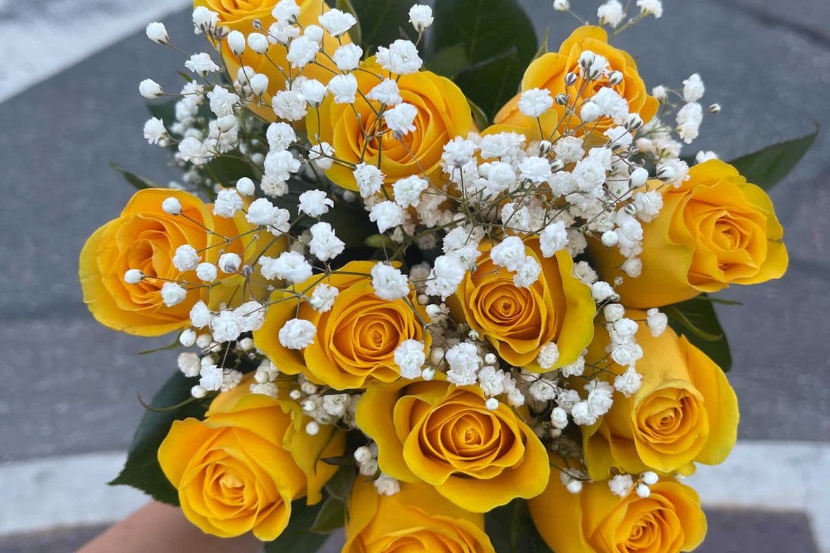 Yellow Roses - 1 Dozen (12 Stems)