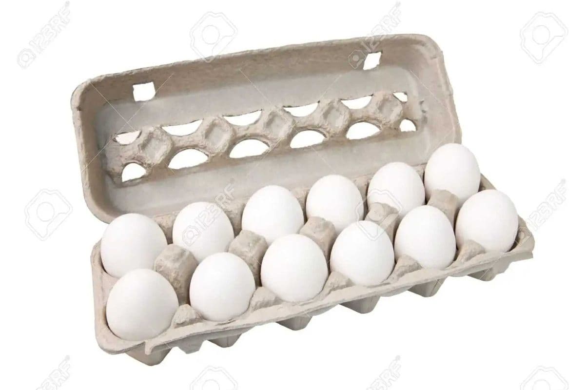 Eggs Dozen