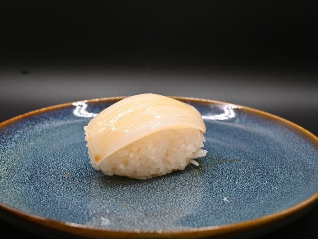 Jumbo Squid