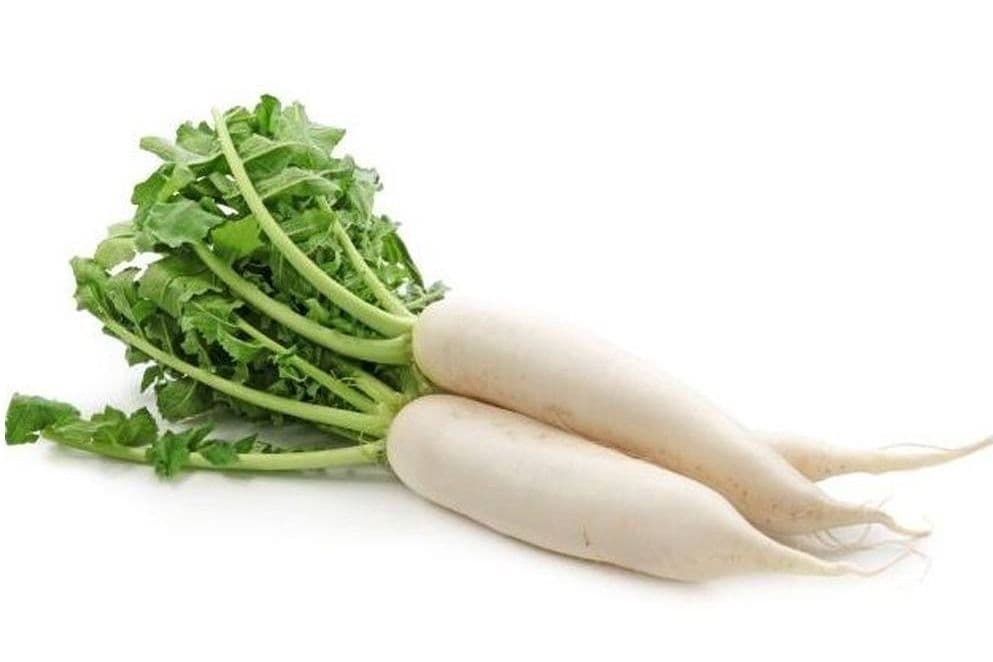 Daikon 1pc