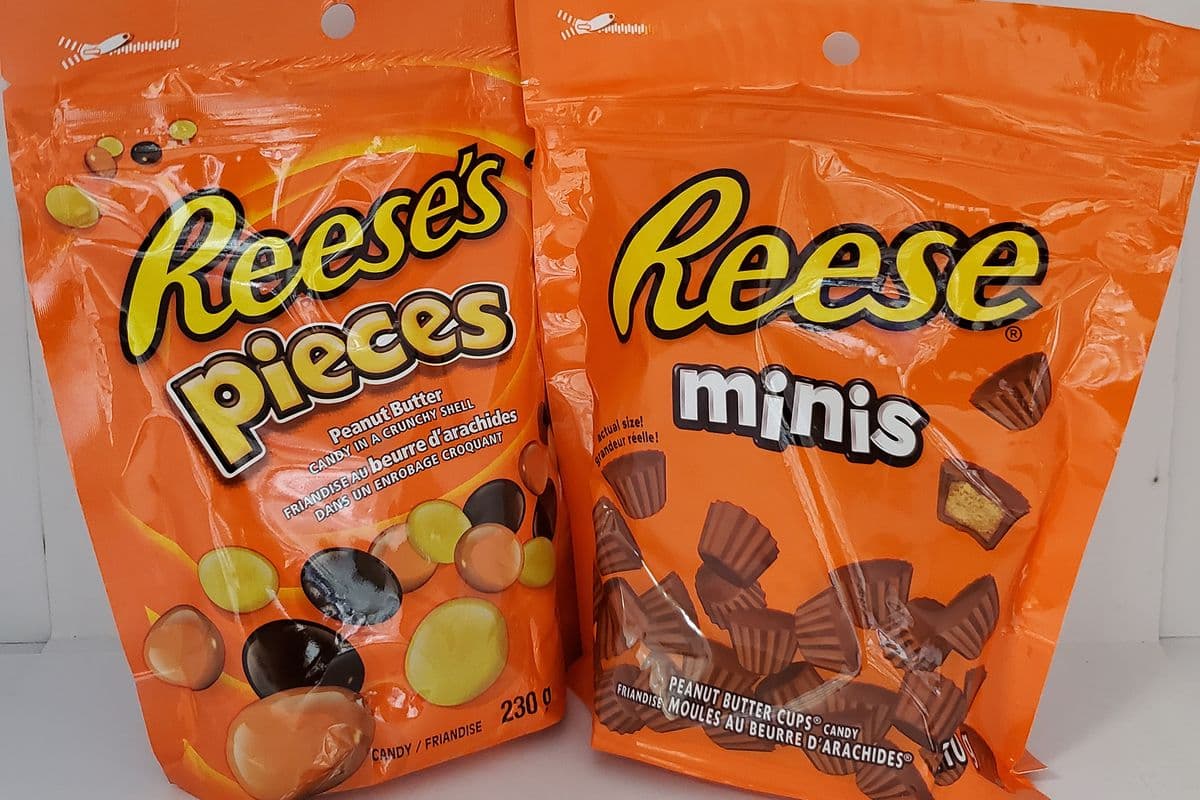 Reese's Chocolate Beg Large Size (Assorted) 180-230g