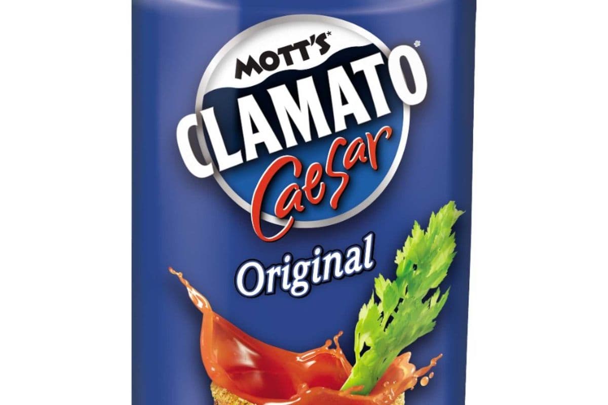 Mott's Original Caesar (1 x 458 ml Can)