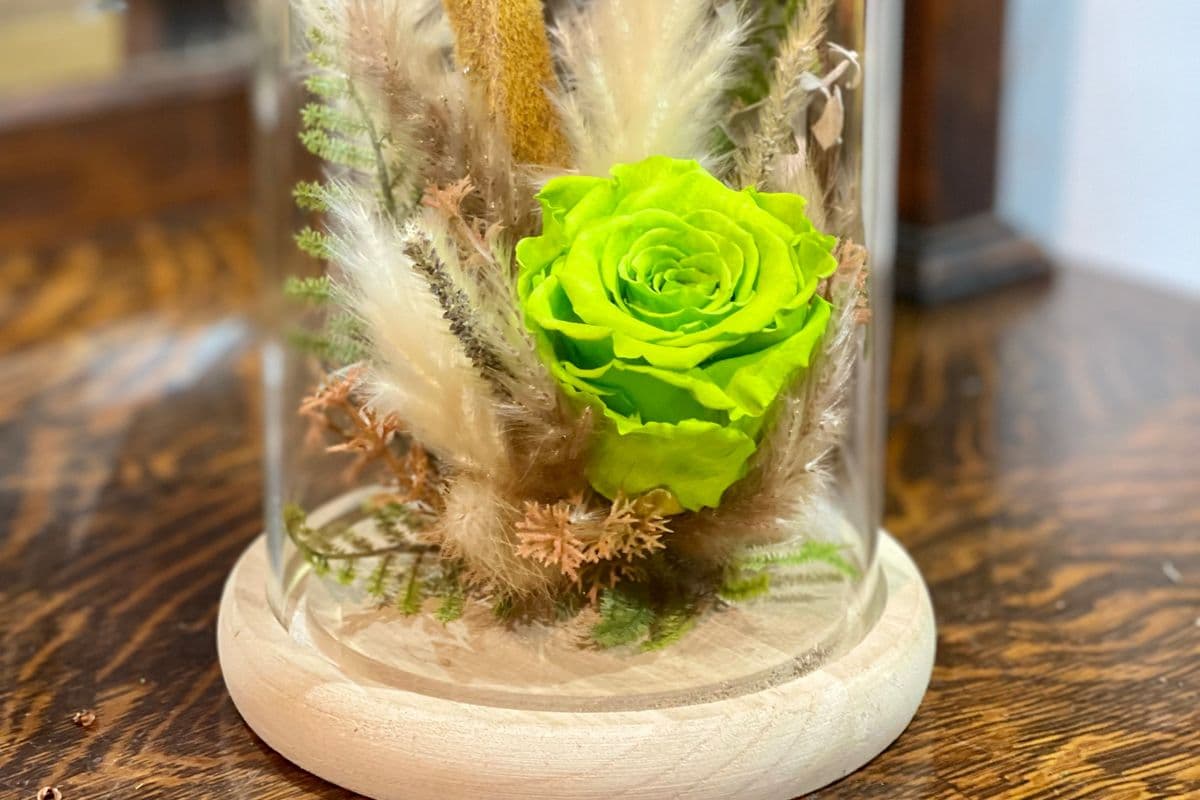 Cloche verre (moyenne)