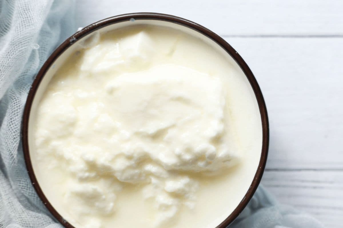 Homemade Yogurt