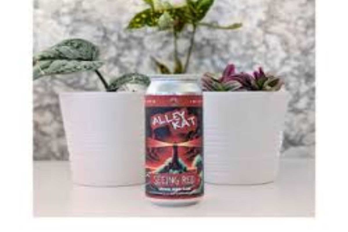 ALLEY KAT IRISH RED-4PACK (4 x 4*473ML )