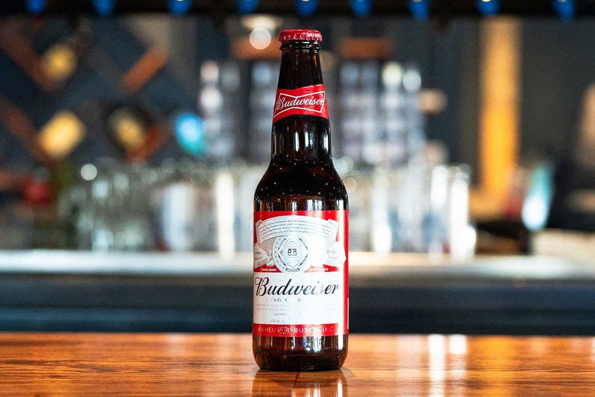 Budweiser (1 x 355 ml/l)