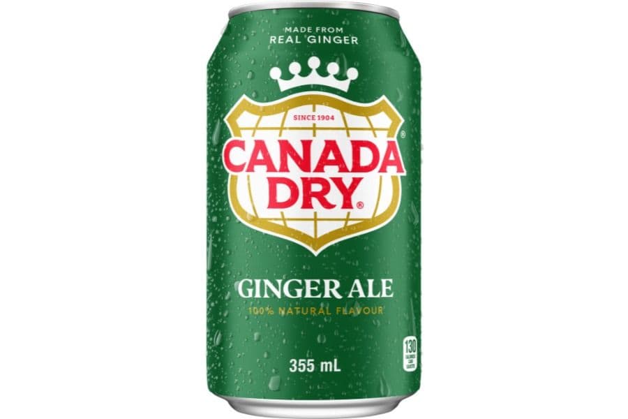 Ginger Ale (355 ml)
