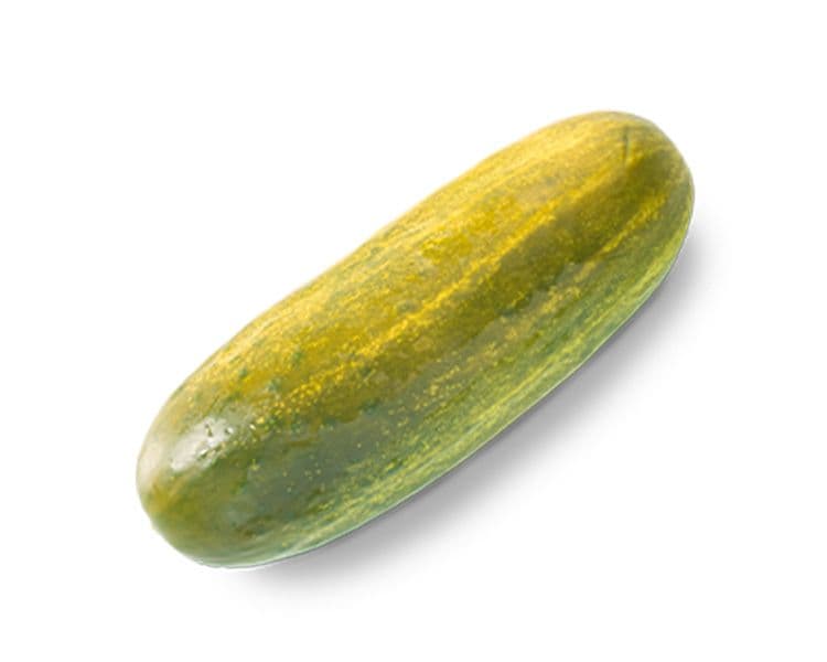Jumbo Dill Pickle