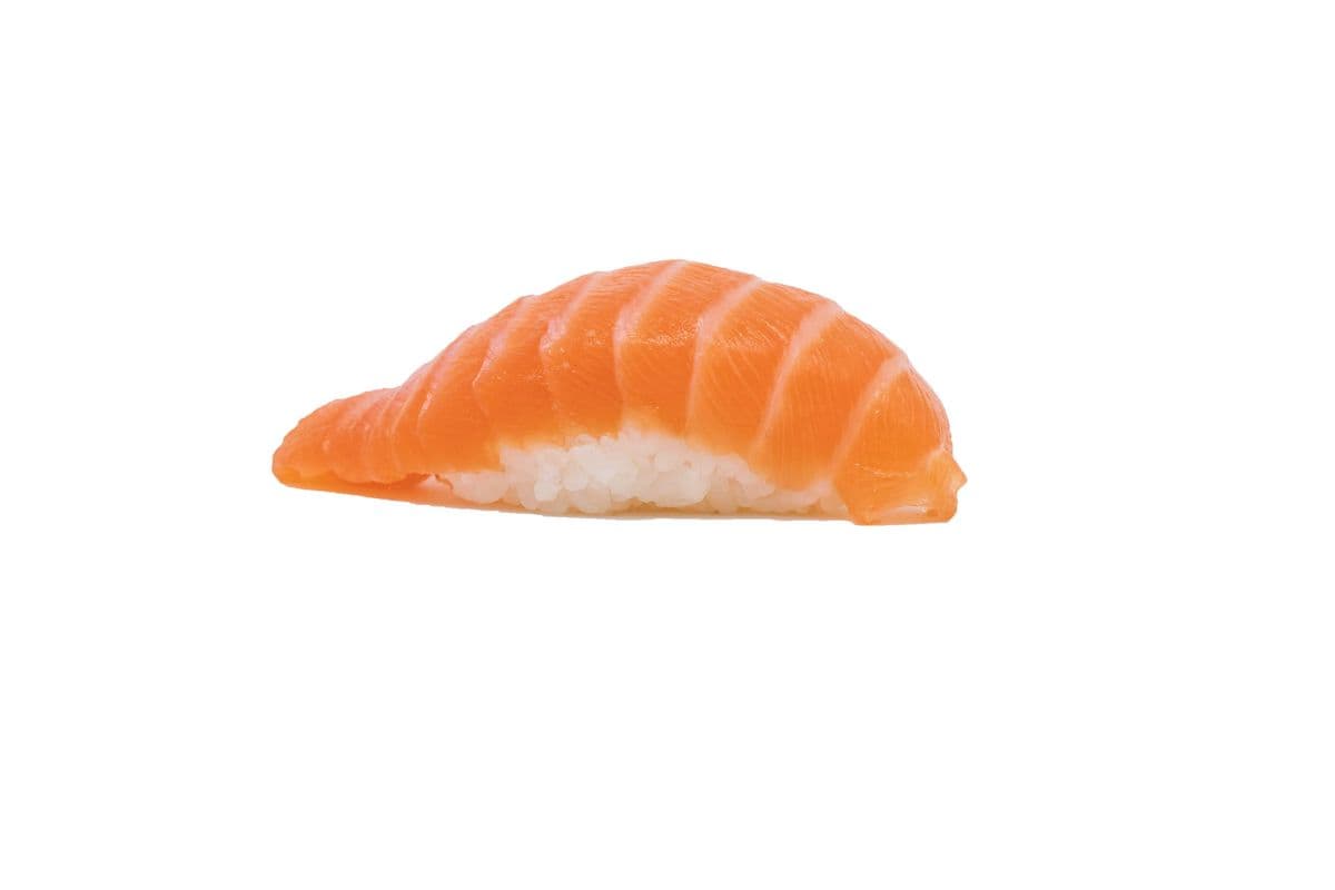 sake nigiri