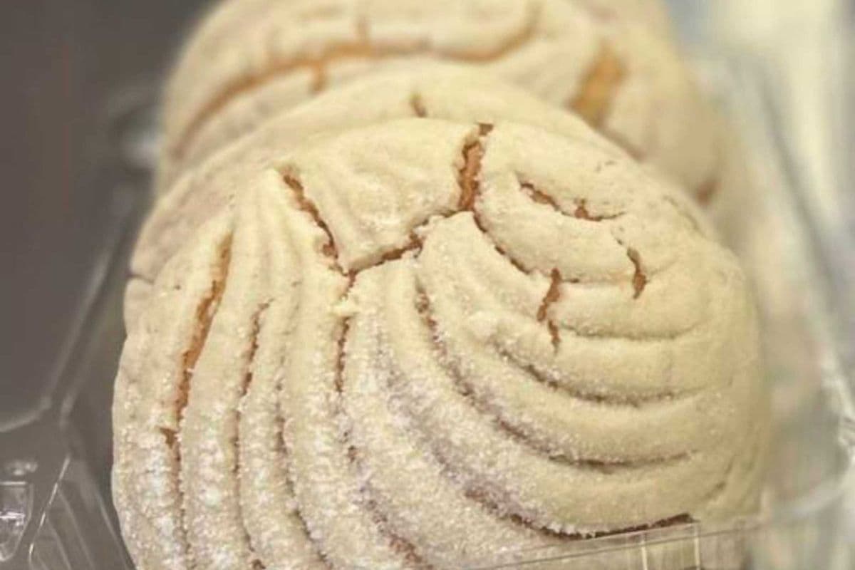 Semitas / Conchas (5pc)