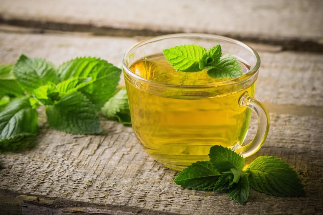Digestion Wellness Tea
