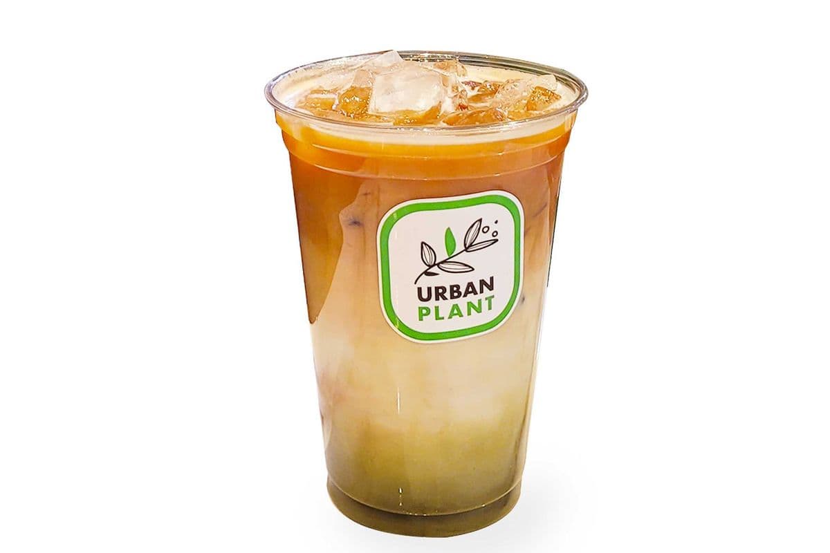 Matcha Espresso (Hot)