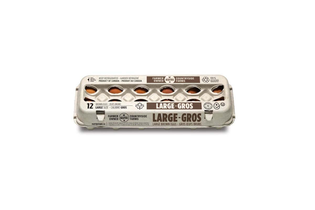 Large Brown Eggs (12 Pack)