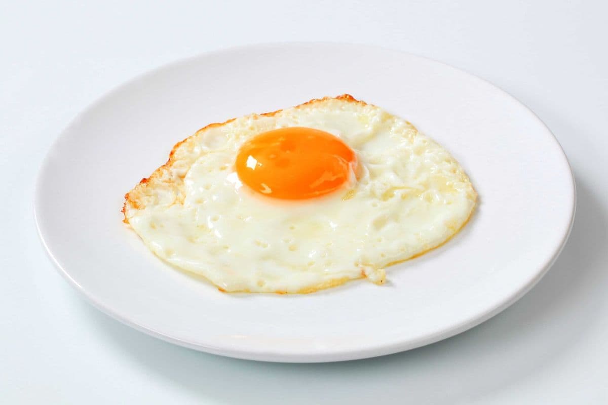 Fried Egg