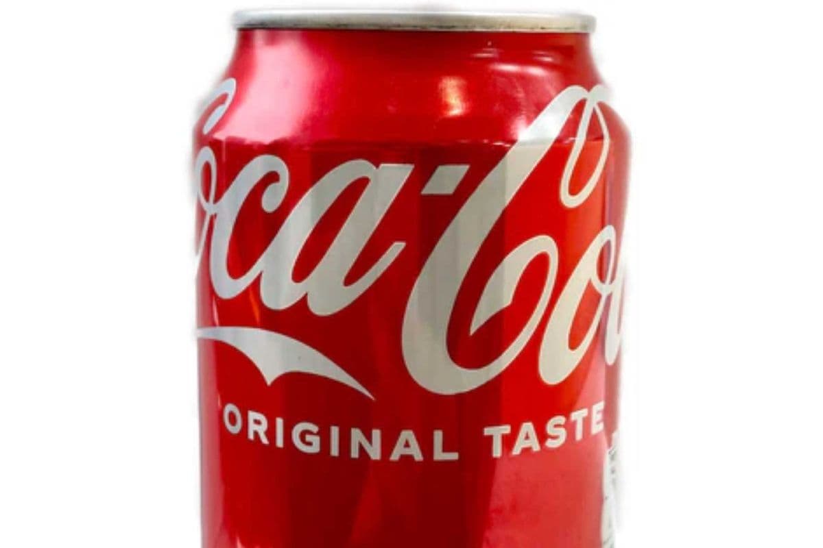 Canned Coke (355 ml)