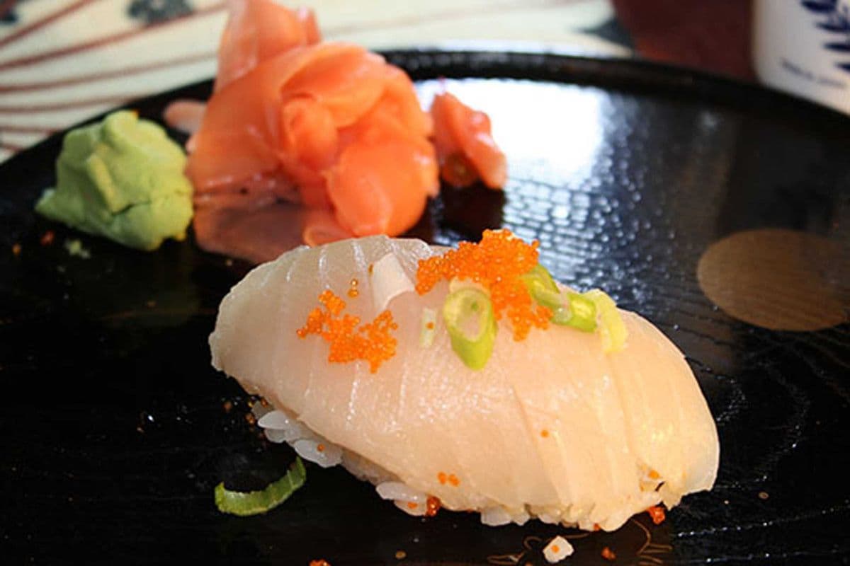 Toro (1 pc)