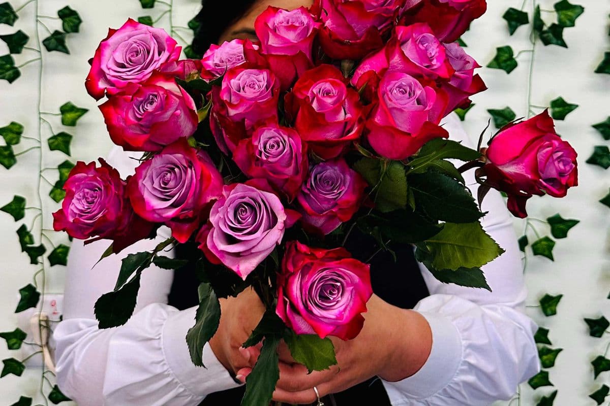 Single Rose- color can vary upon availability. CAN BE RED, PINK OR ORANGE